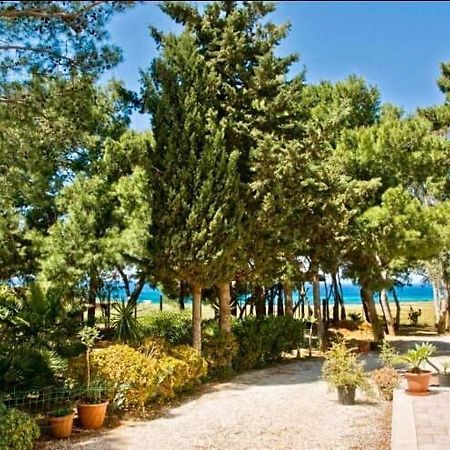 Appartamento I Tramonti Di Cofano 카스텔루치오 외부 사진