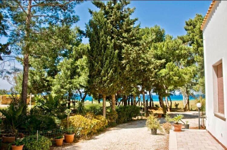 Appartamento I Tramonti Di Cofano 카스텔루치오 외부 사진