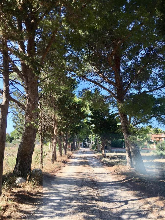 Appartamento I Tramonti Di Cofano 카스텔루치오 외부 사진