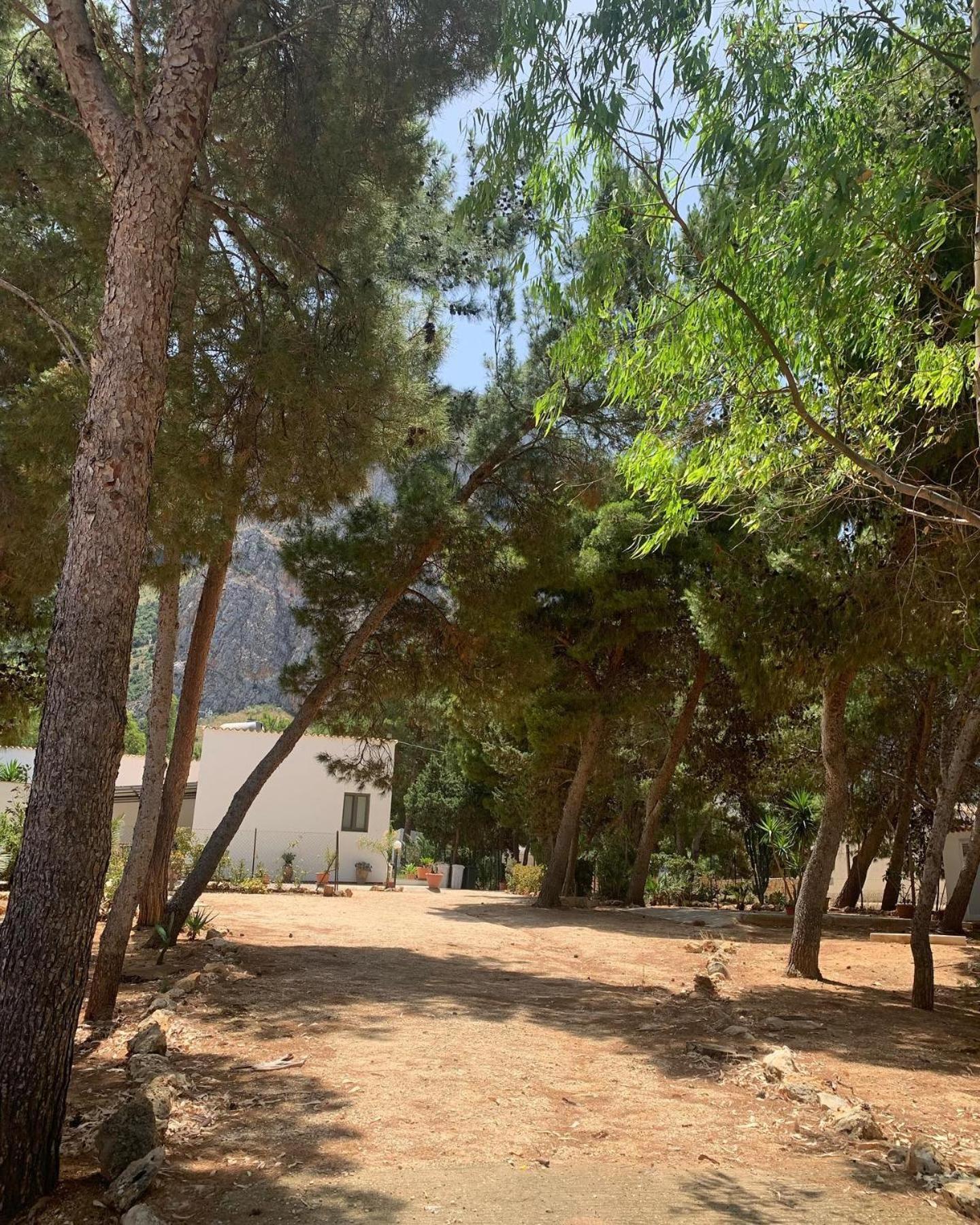 Appartamento I Tramonti Di Cofano 카스텔루치오 외부 사진