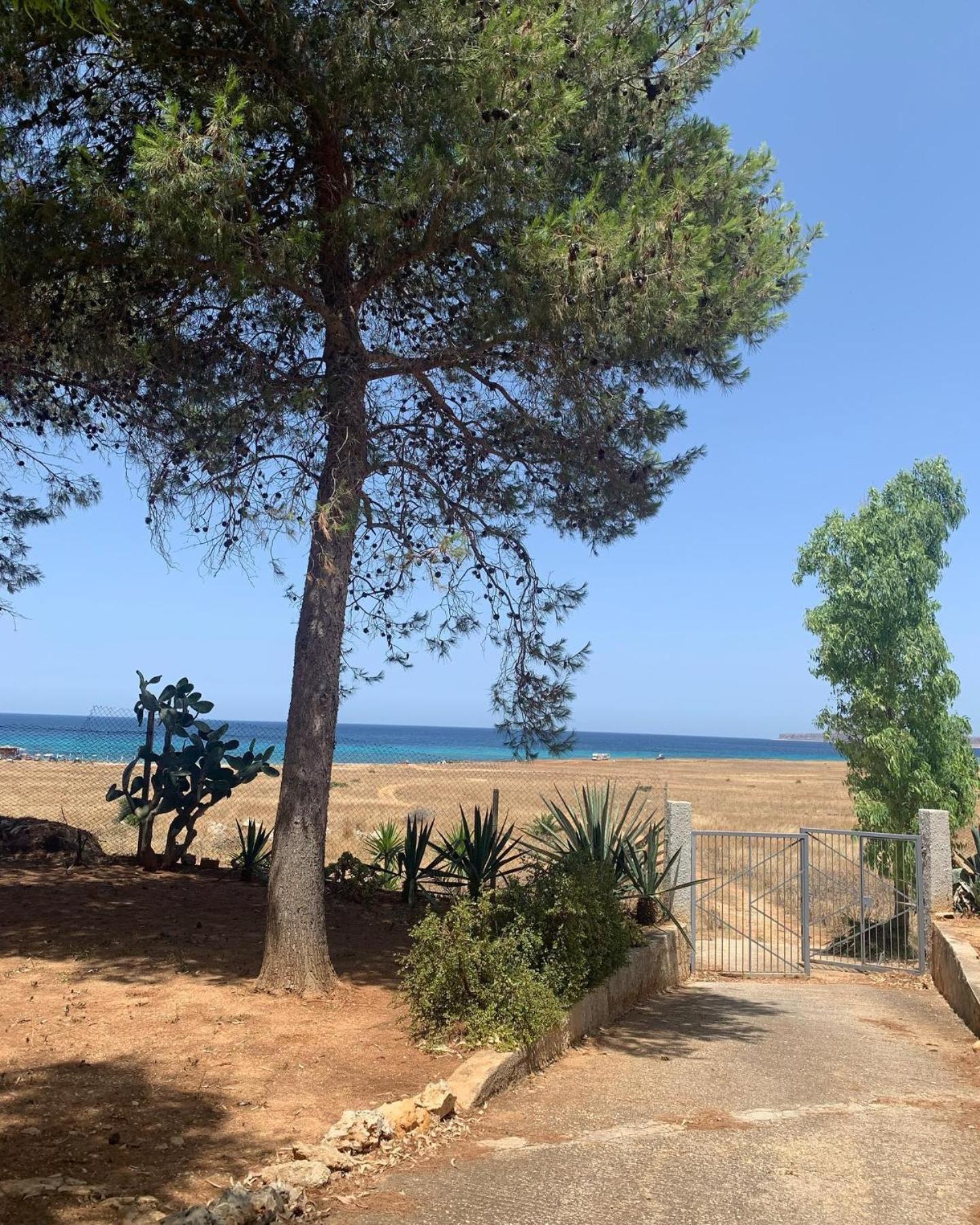 Appartamento I Tramonti Di Cofano 카스텔루치오 외부 사진