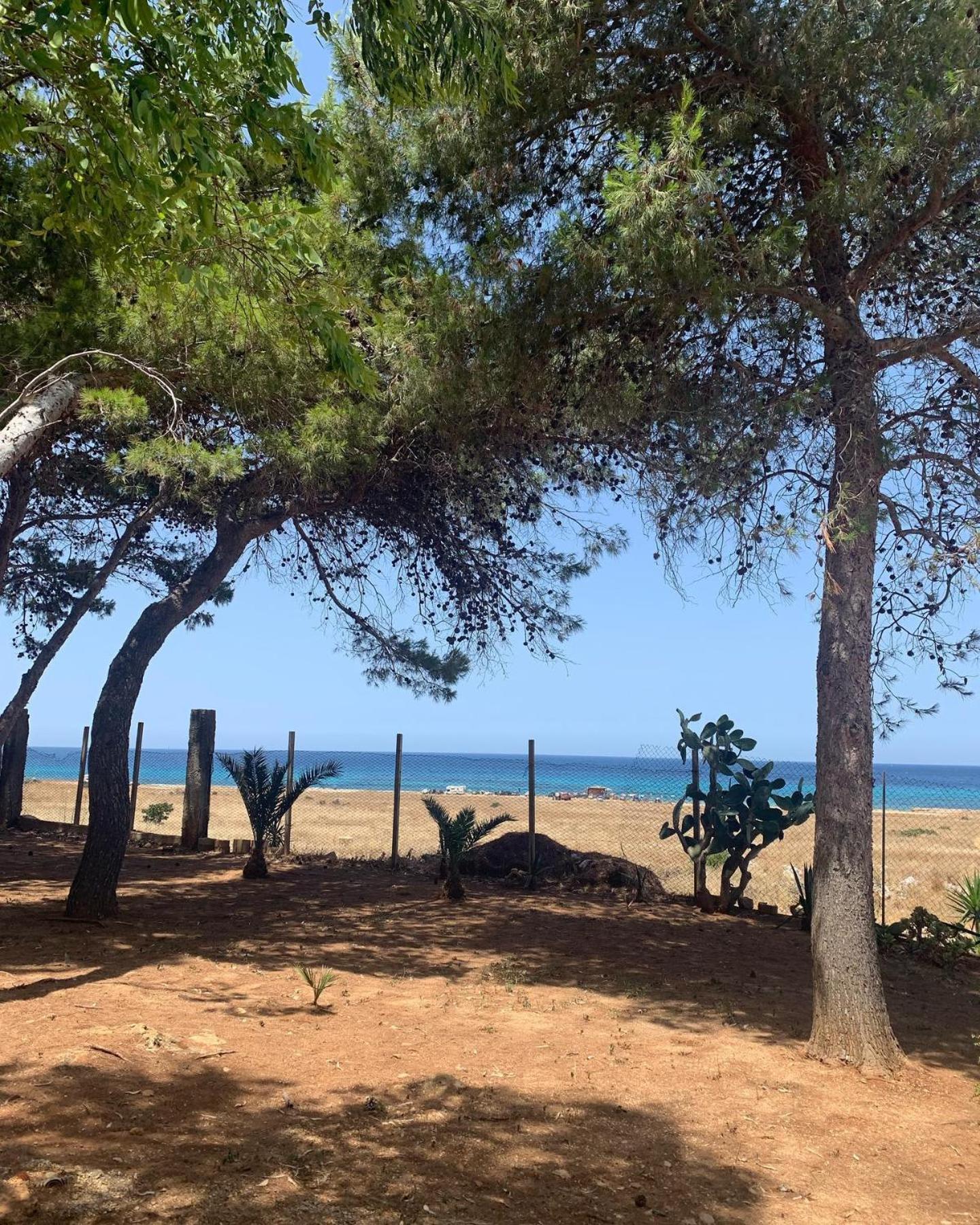 Appartamento I Tramonti Di Cofano 카스텔루치오 외부 사진
