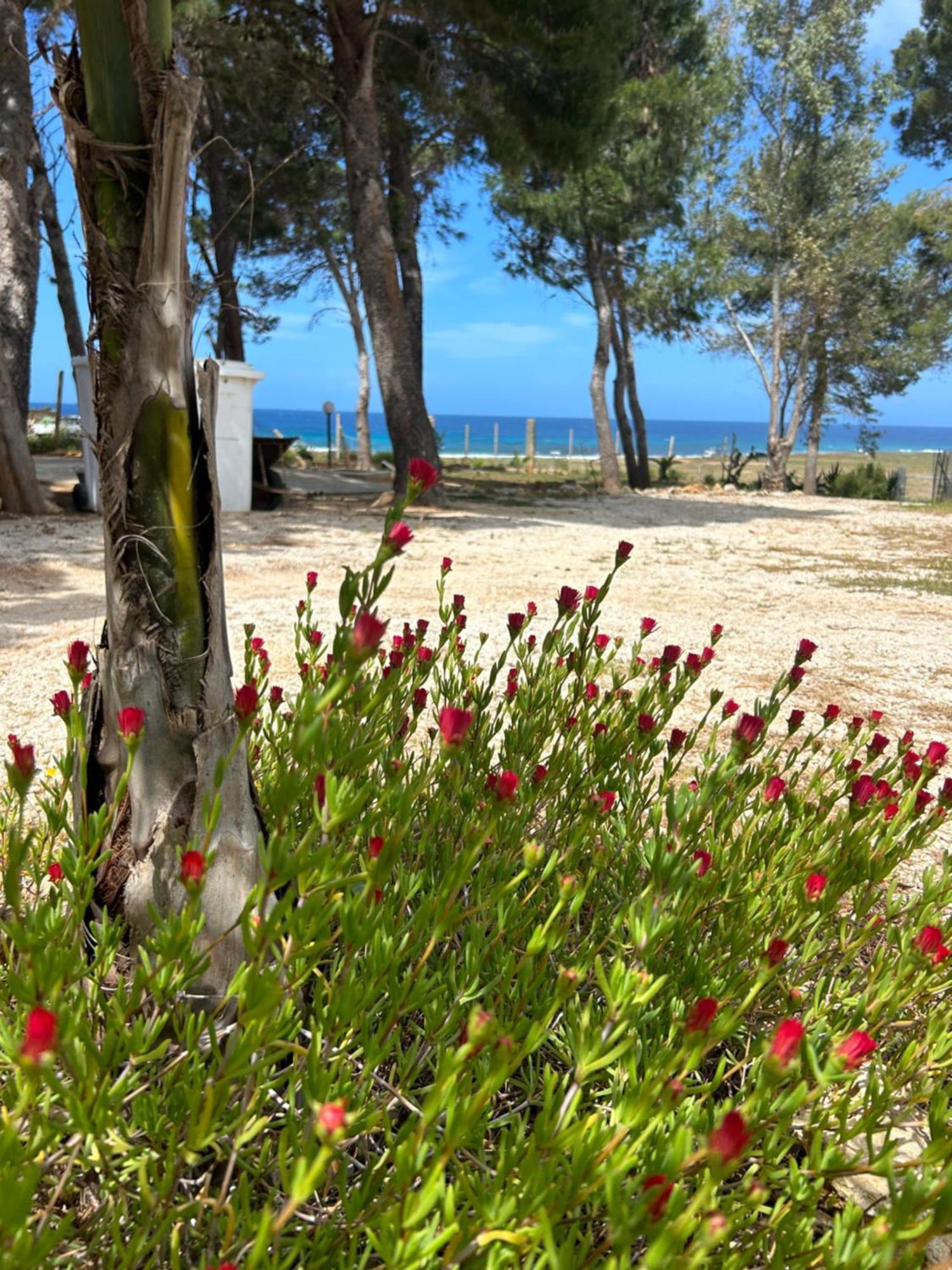 Appartamento I Tramonti Di Cofano 카스텔루치오 외부 사진